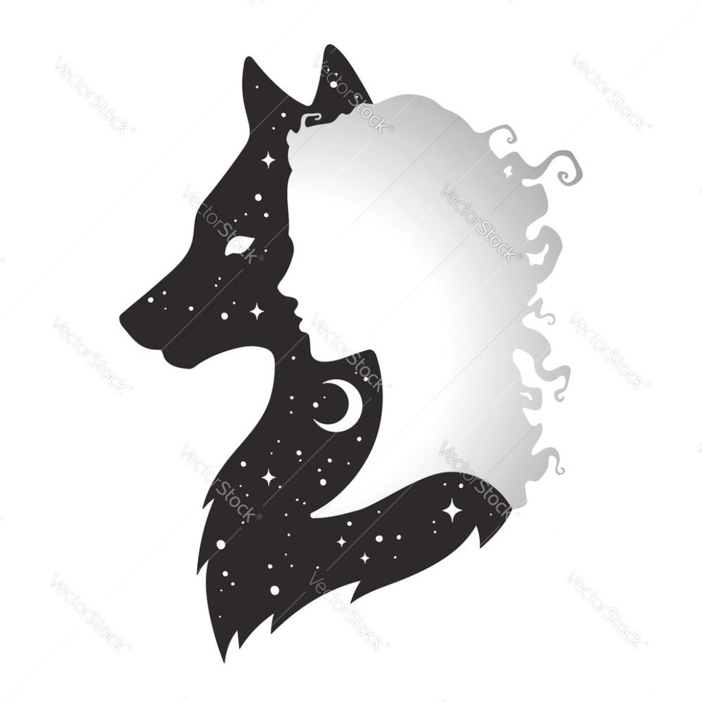 Meet your Posher, T.